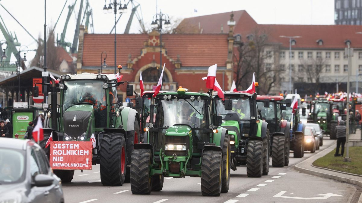 Omezit ukrajinské obilí. Francie se připojila k Polsku, jde o miliardy